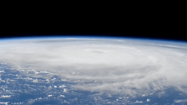 When Waters Rise, Networks Matter - Orchestrating Disaster Response Across Scales